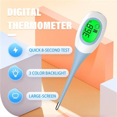 Harga Termometer Digital 10s