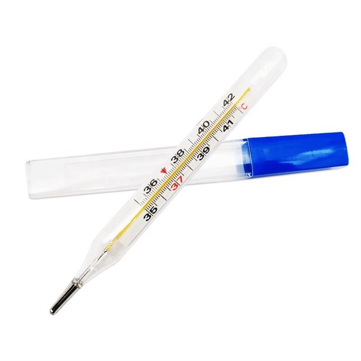 Mercury Thermometer Price
