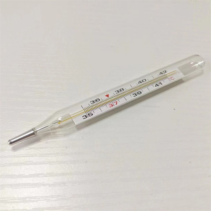 Mercury Thermometer Price